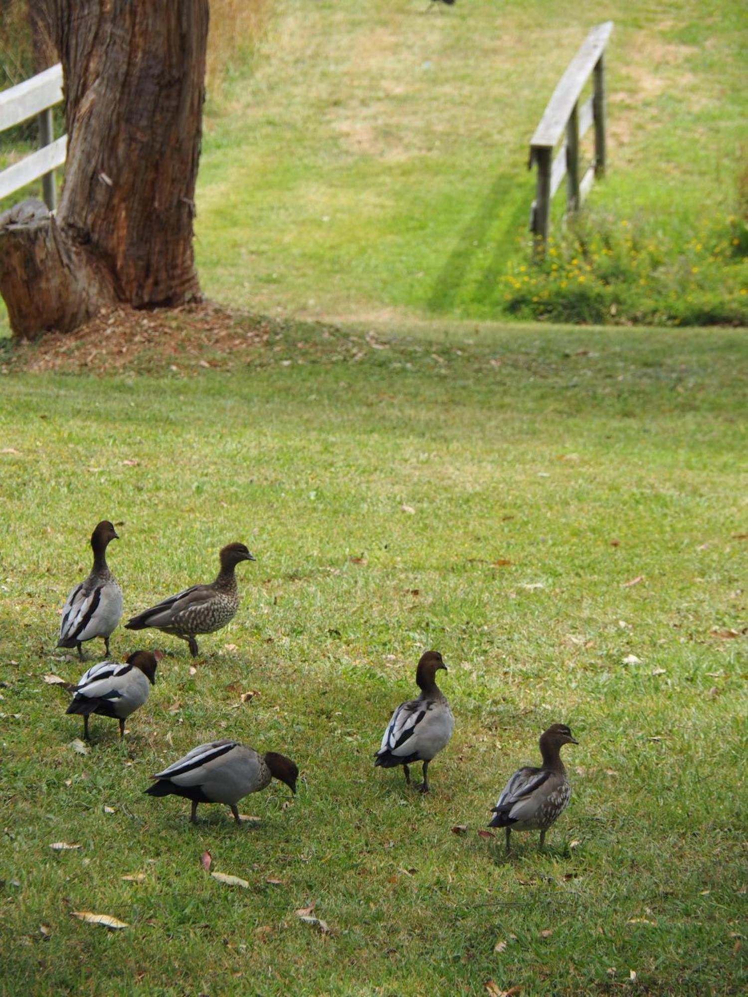 Hotel Iluka Retreat Red Hill South Esterno foto