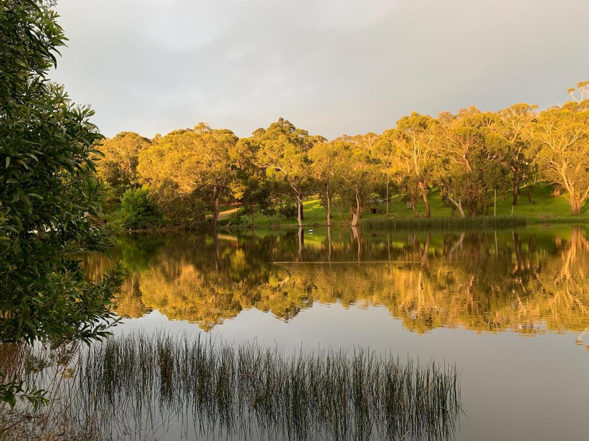 Hotel Iluka Retreat Red Hill South Esterno foto