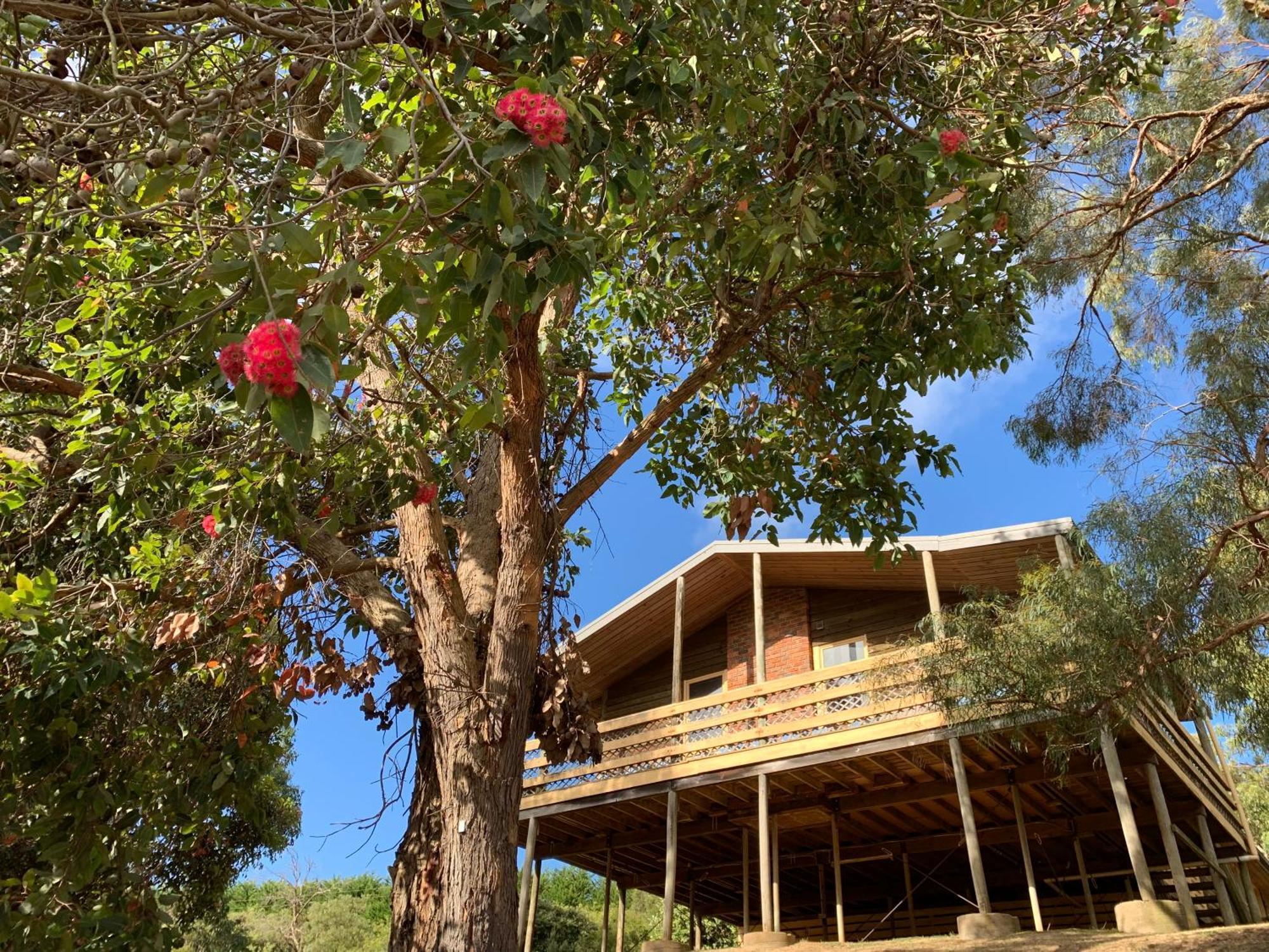 Hotel Iluka Retreat Red Hill South Esterno foto
